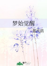 《梦始觉醒》