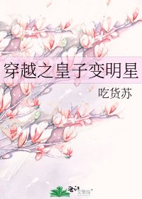《穿越之皇子变明星》