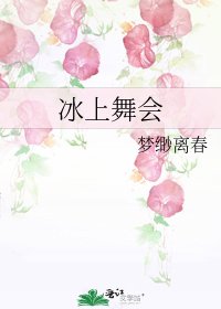 《冰上舞会》