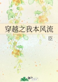 《穿越之我本风流》