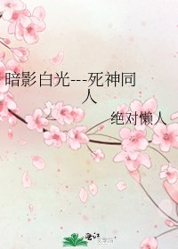 《暗影白光---死神同人》