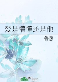 《爱是懵懂还是他》
