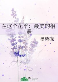 《在这个花季:最美的相遇》