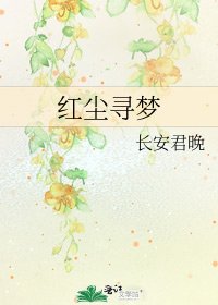 《红尘寻梦》