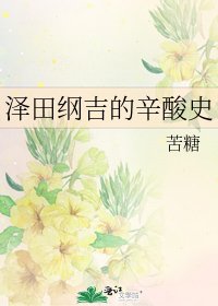 《泽田纲吉的辛酸史》