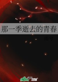 那一季逝去的青春