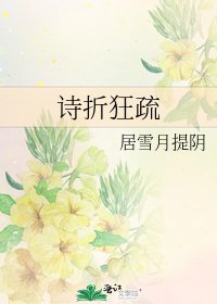 《诗折狂疏》