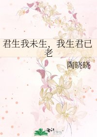 《君生我未生,我生君已老》