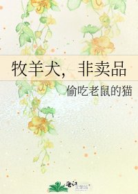 《牧羊犬,非賣品》