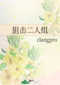 《狙击二人组》