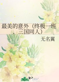 《最美的意外(终极一班、三国同人)》
