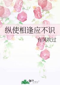 纵使相逢应不识