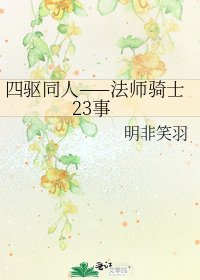 《四驱同人——法师骑士23事》
