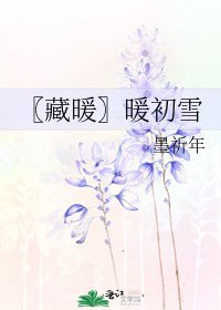 《〖藏暖〗暖初雪》