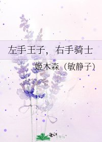 《左手王子,右手骑士》