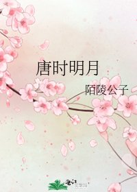 《唐时明月》