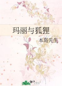《玛丽与狐狸》