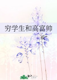 穷学生和高富帅