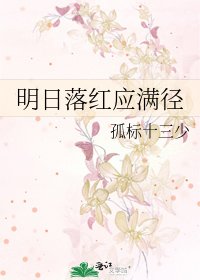 《明日落红应满径》