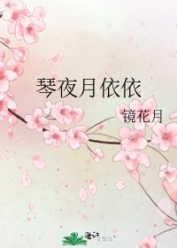 《琴夜月依依》