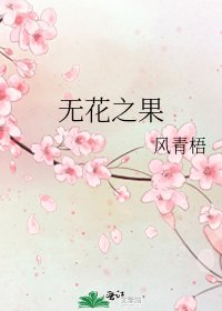 《无花之果》