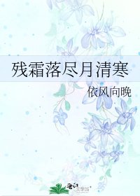 《残霜落尽月清寒》