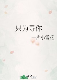 《只为寻你》