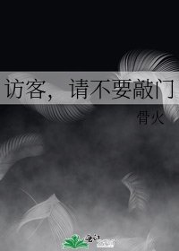 《访客,请不要敲门》