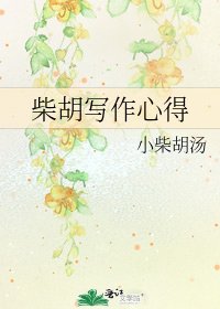 《柴胡写作心得》