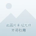 《对照组女配重生后只想做好事》