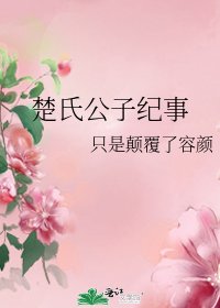 《楚氏公子纪事》