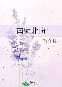 《南顾北盼》