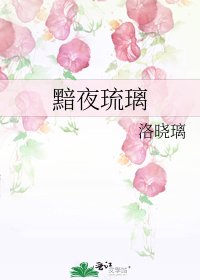 《黯夜琉璃》