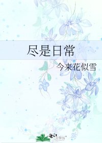 《尽是日常》