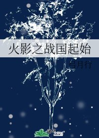 《火影之战国起始》
