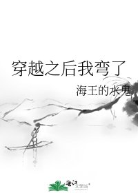 《穿越之后我弯了》