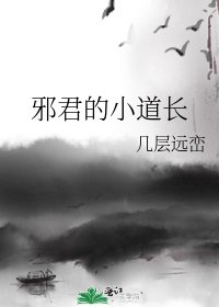 《邪君的小道长》