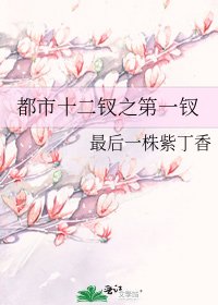 《都市十二钗之第一钗》