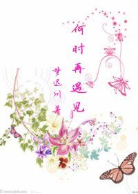 《何时再遇见》