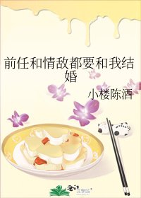 《前任和情敌都要和我结婚》