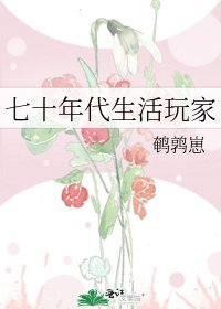 《七十年代生活玩家》