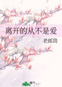 《离开的从不是爱》