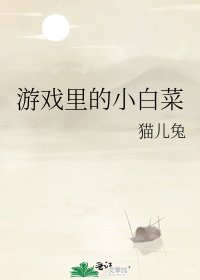 《游戏里的小白菜》