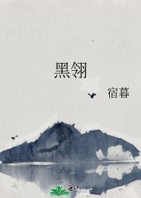 《黑翎》