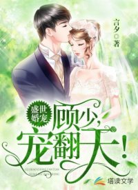 盛世婚宠：顾少，宠翻天！