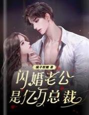 闪婚老公是亿万总裁