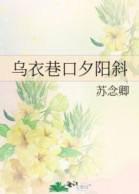 《乌衣巷口夕阳斜》
