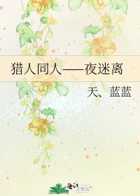 《猎人同人——夜迷离》