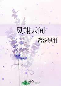 《鳳翔雲間》