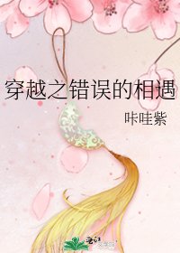 《穿越之错误的相遇》